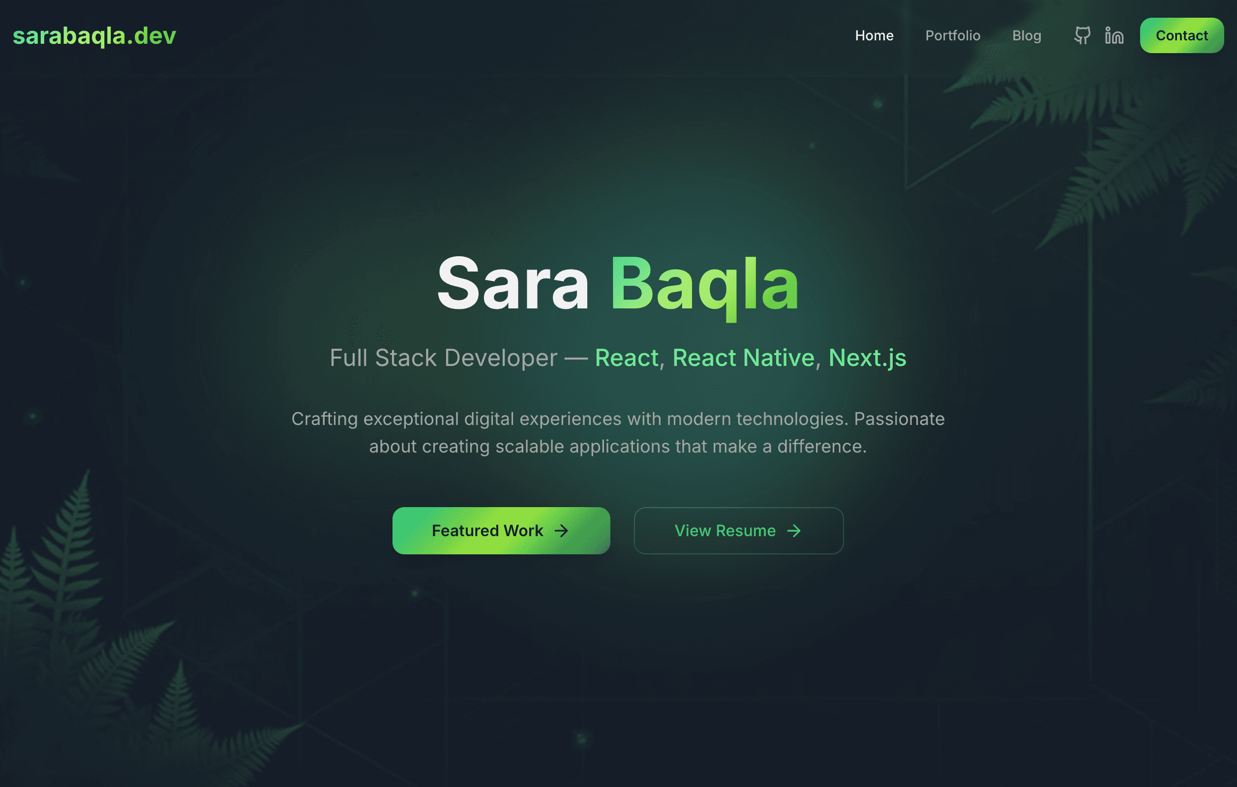 Sara Baqla Portfolio project